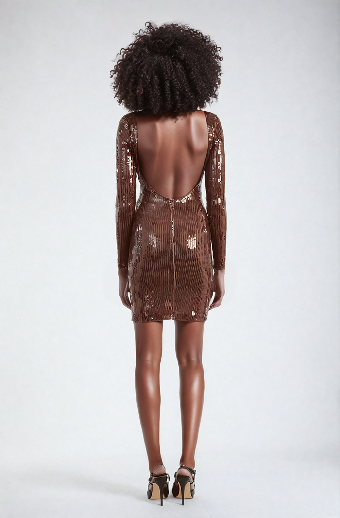 Aoibhe Long Sleeve Sequin Mini Dress In Brown