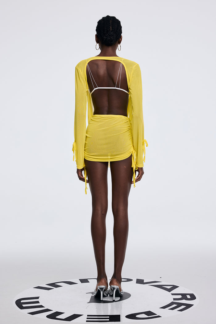 Apolline Cowl Neck Ruch Mesh Mini Dress