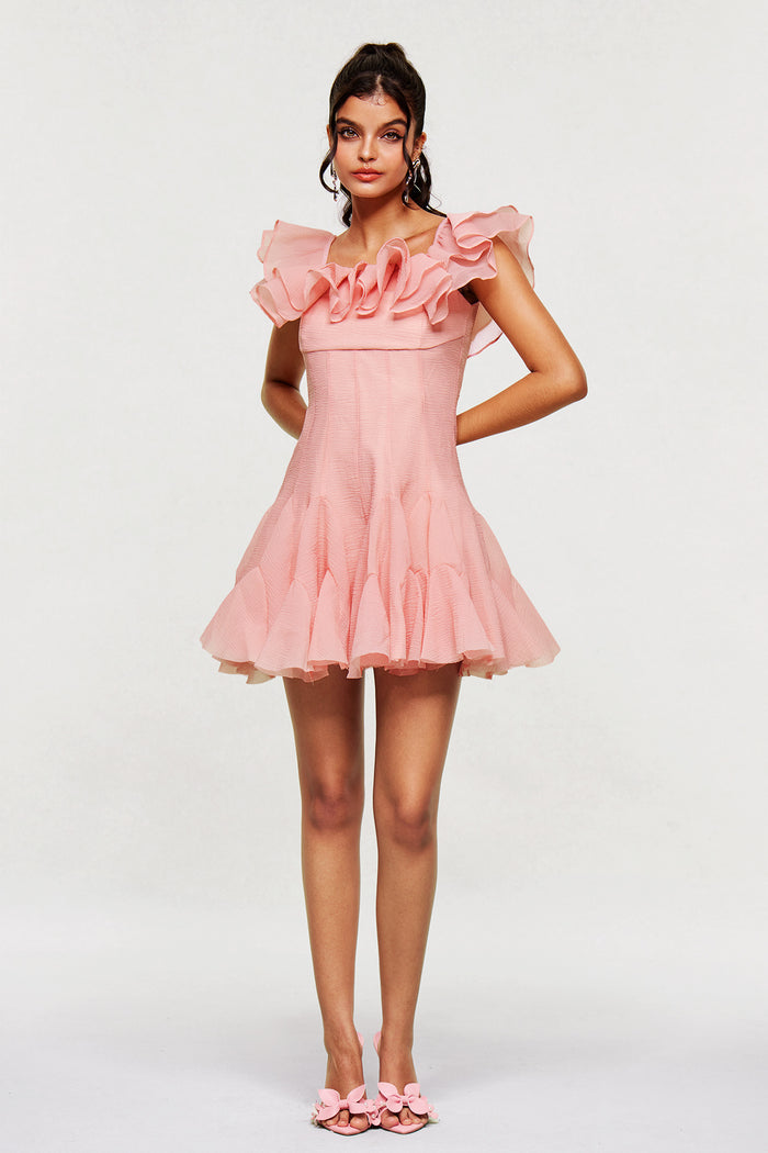 Blago Ruffle Corset Mini Dress In Pink