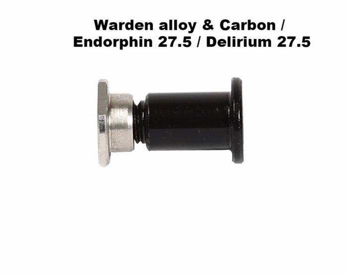 Pushlink / Swinglink Pivot Bolt Assembly - 27.5 Frames (2019 and older)