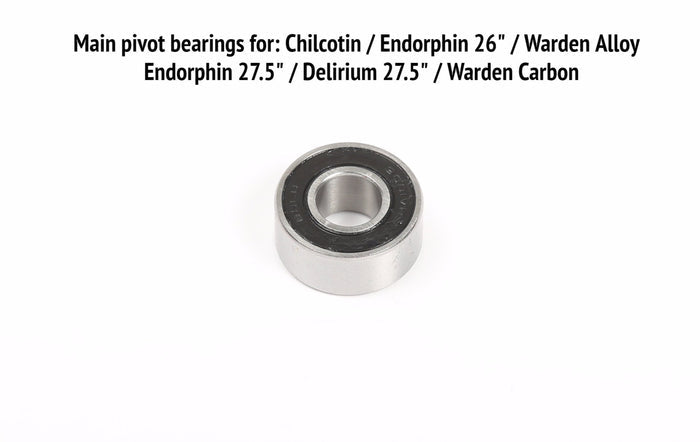 3001-2RS Bearing - Individual