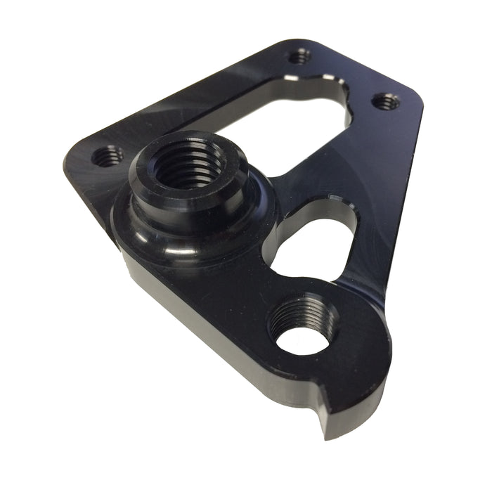 Rear Derailleur Hanger (Thru-Axle) - Podium, V-Tach, Delirium T