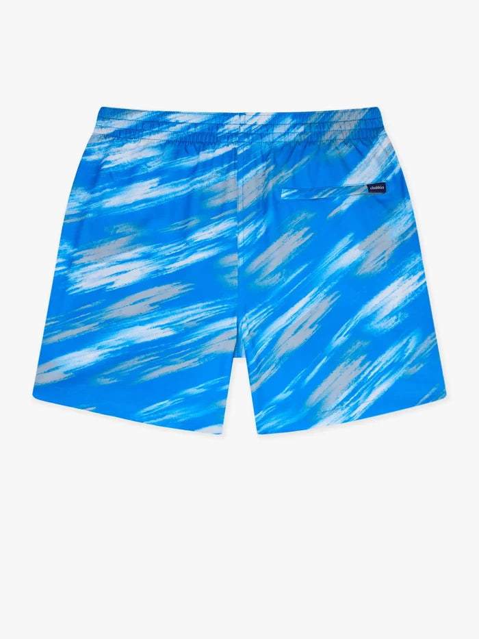 The Color Blitz Lions 5.5" (Classic Lined Swim Trunk) - Image 2 - Chubbies Shorts